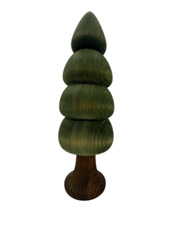 Tanne - 15 cm