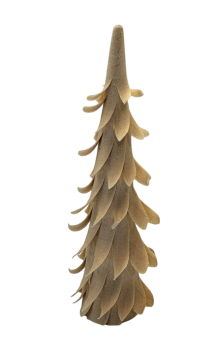 Spiralbaum - 11 cm