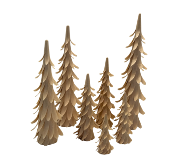 Spiralbaum - 13 cm