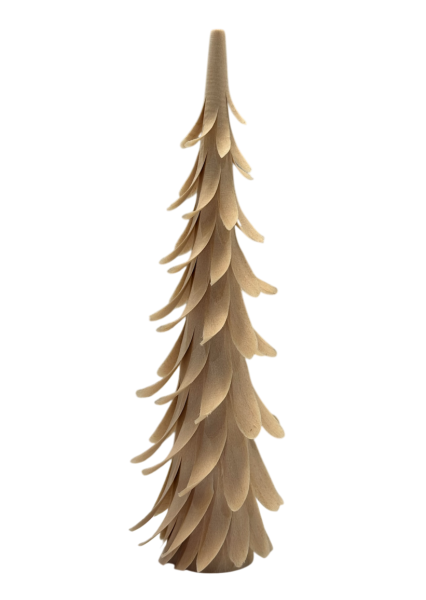 Spiralbaum - 15 cm