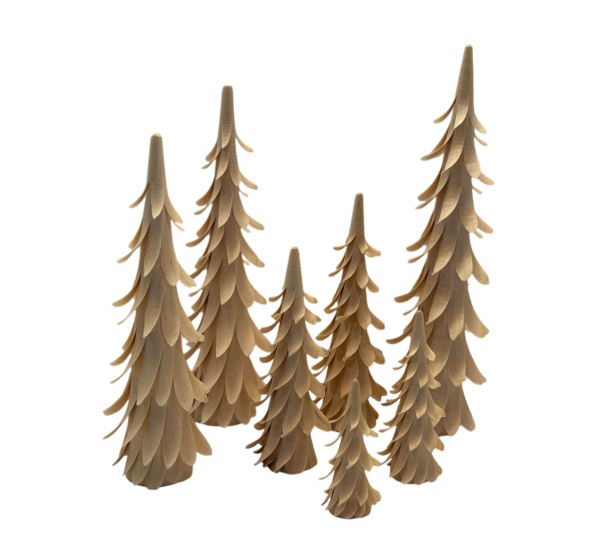 Spiralbaum - 11 cm