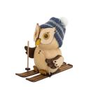 Minieule mit Ski