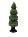 Tanne - 17 cm
